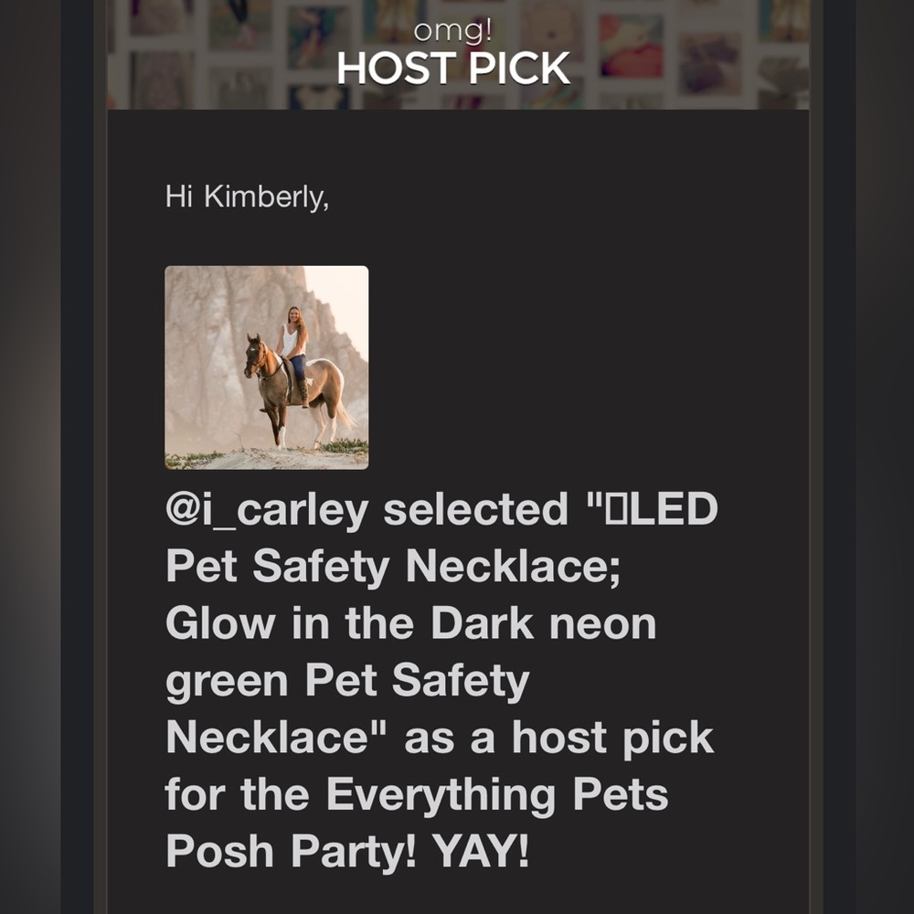 🆕LED Pet Safety Necklace; Glow in the Dark neon green Pet Safety Necklace - Picture 14 of 16